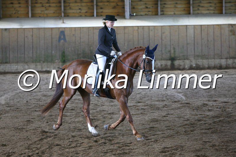 006M6628_Dressurpferde A.JPG